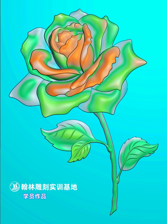 238玫瑰花.jpg